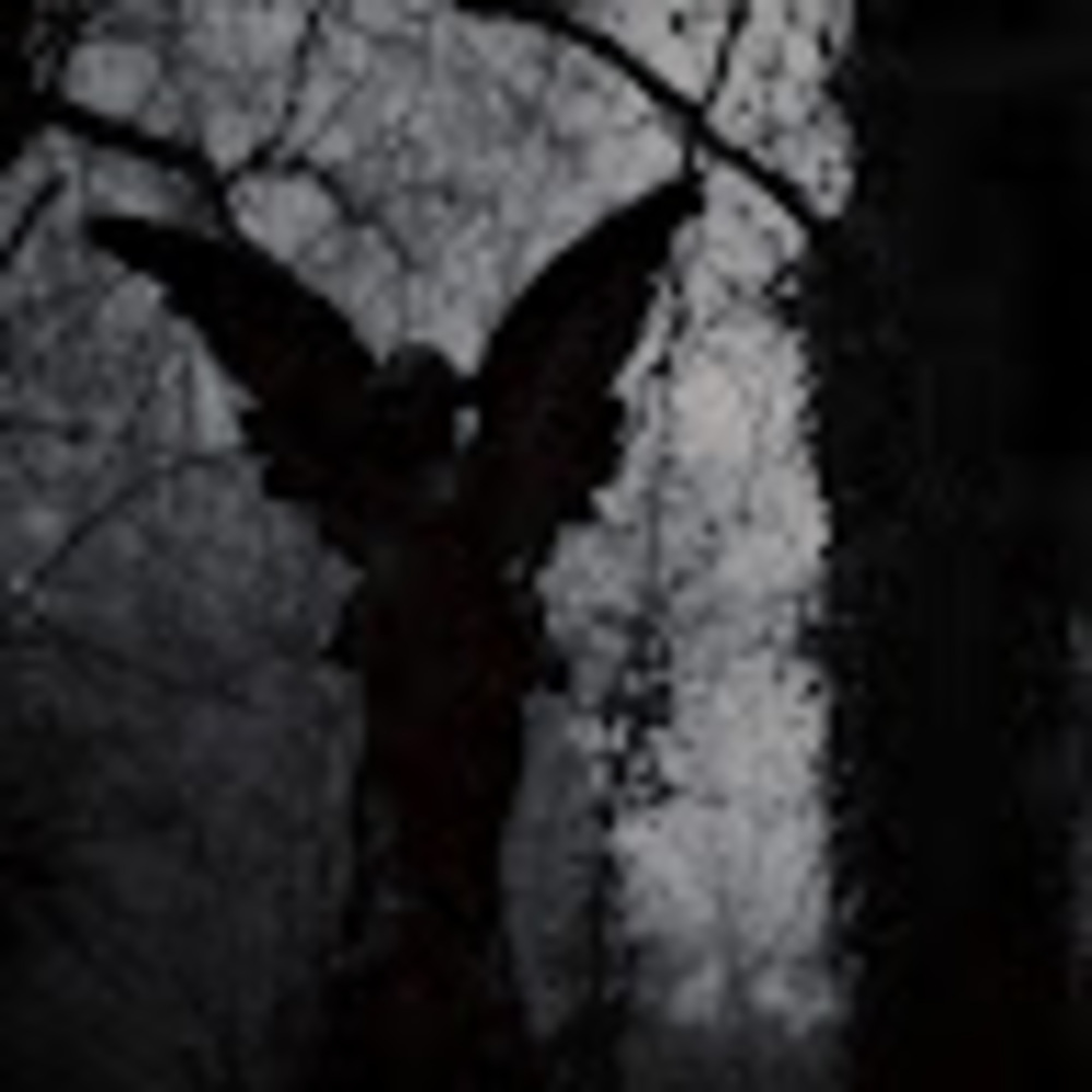 Meet your Posher, Destiny